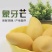 【精品】新鲜象牙芒产地直供欢迎咨询合作