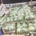 美都西瓜无籽,一手货源711西瓜保熟保甜,产地发货