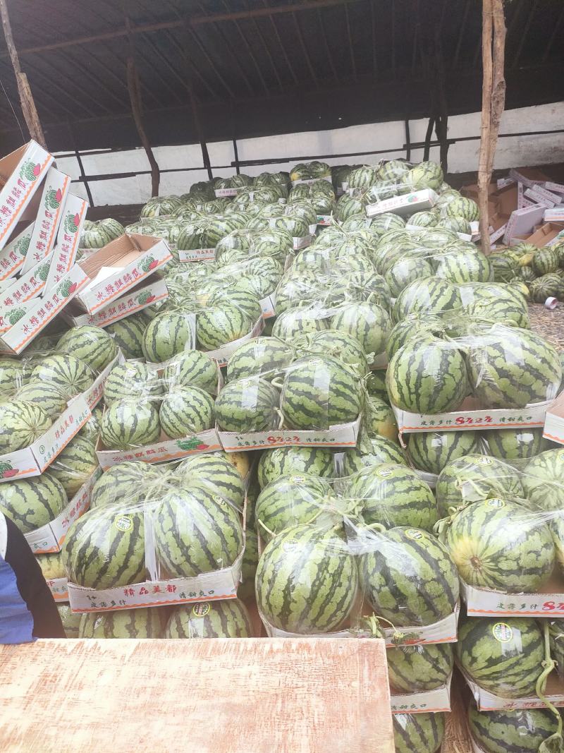美都西瓜无籽，一手货源711西瓜保熟保甜，产地发货