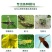 巧妙甲维盐蓟马药水稻卷叶螟豆青虫钻心虫豆角果树蓟马杀虫剂