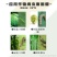 巧妙甲维盐蓟马药水稻卷叶螟豆青虫钻心虫豆角果树蓟马杀虫剂