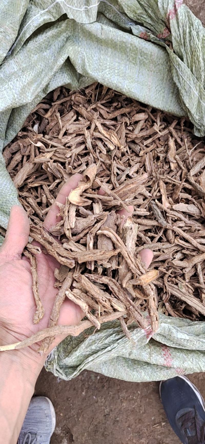 地骨皮，甘肃产地，常年供应，恢份低