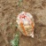 土豆大量供应、产地直销、质量保证、支持各种包装、欢迎采购