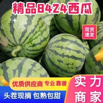 8424西瓜产地一茬瓜包熟，瓜型端正，货源充足，全国代发