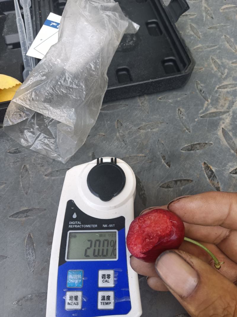 樱桃大量上市，要的抓紧联系了。