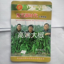 豫艺新时代大果辣椒种子薄皮无渣筋辣好吃高产商品性强经济效