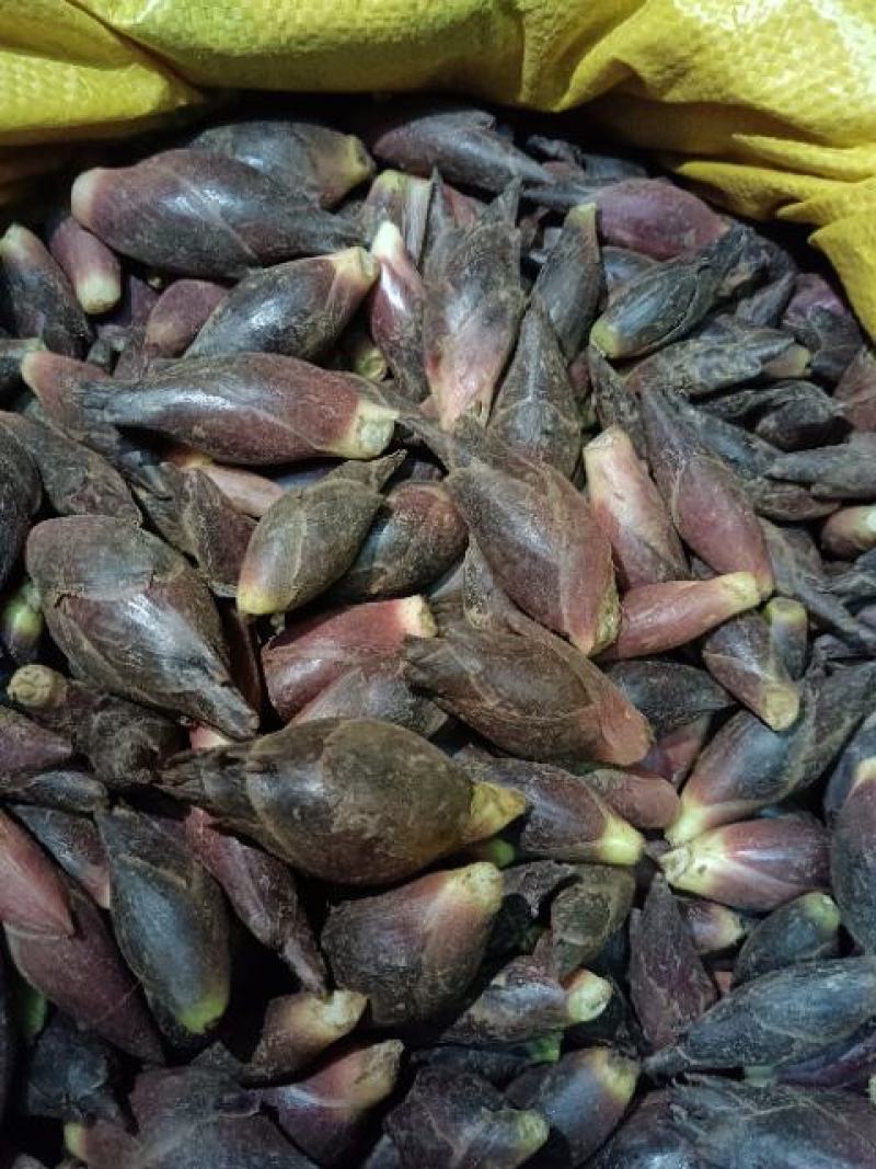 新鲜洋荷嫩芽、新鲜洋荷（基地直供）