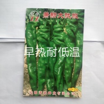 萧新大陇椒辣椒种子早熟抗病能力强商品性好膨果速度快翠绿
