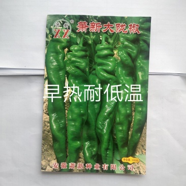 萧新大陇椒辣椒种子早熟抗病能力强商品性好膨果速度快翠绿