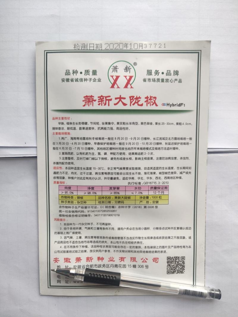 萧新大陇椒辣椒种子早熟抗病能力强商品性好膨果速度快翠绿