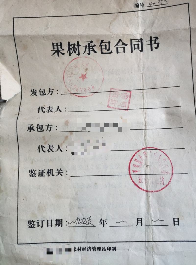 正宗北京平谷大蟠桃黄蟠桃礼盒装果园现摘直发京东快递包邮