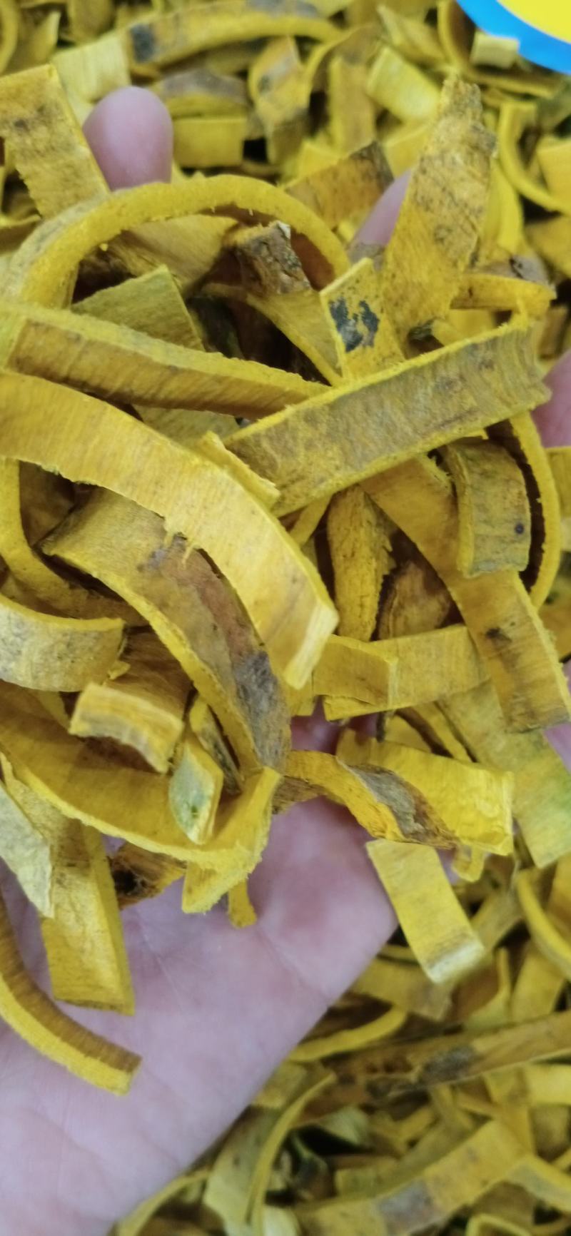 黄柏，去皮黄柏，各种等级黄柏，中药材批发，按方抓药
