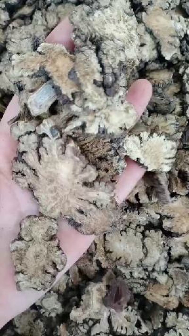 黄柏，去皮黄柏，各种等级黄柏，中药材批发，按方抓药