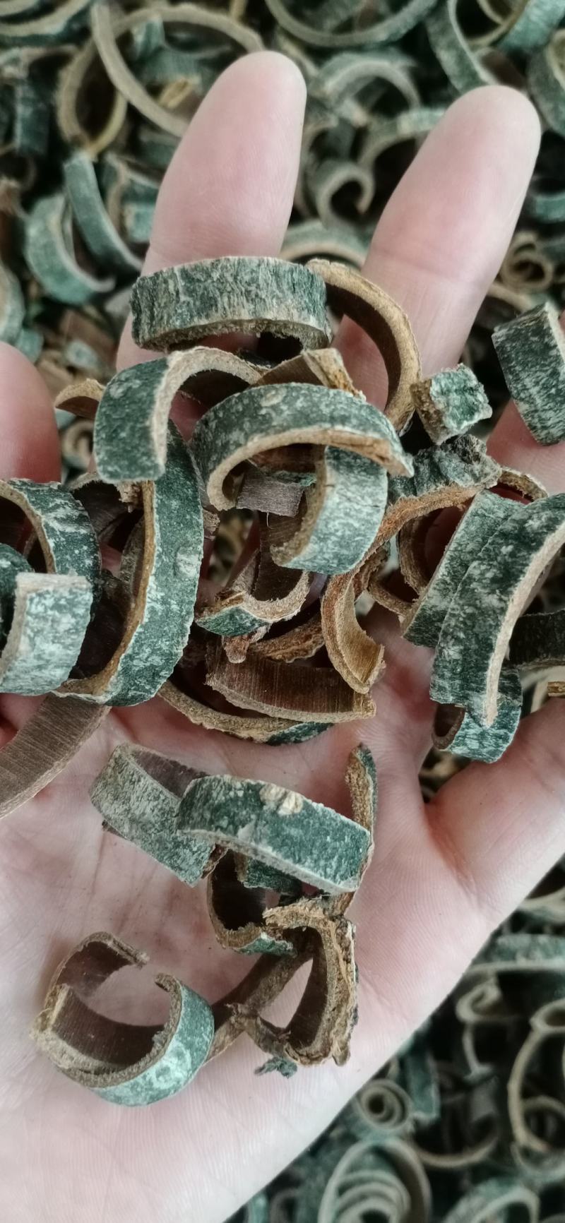 黄柏，去皮黄柏，各种等级黄柏，中药材批发，按方抓药