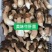 2022新鲜野生菌.支持全国发货.量大从优