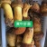 2022新鲜野生菌.支持全国发货.量大从优