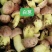 2022新鲜野生菌.支持全国发货.量大从优