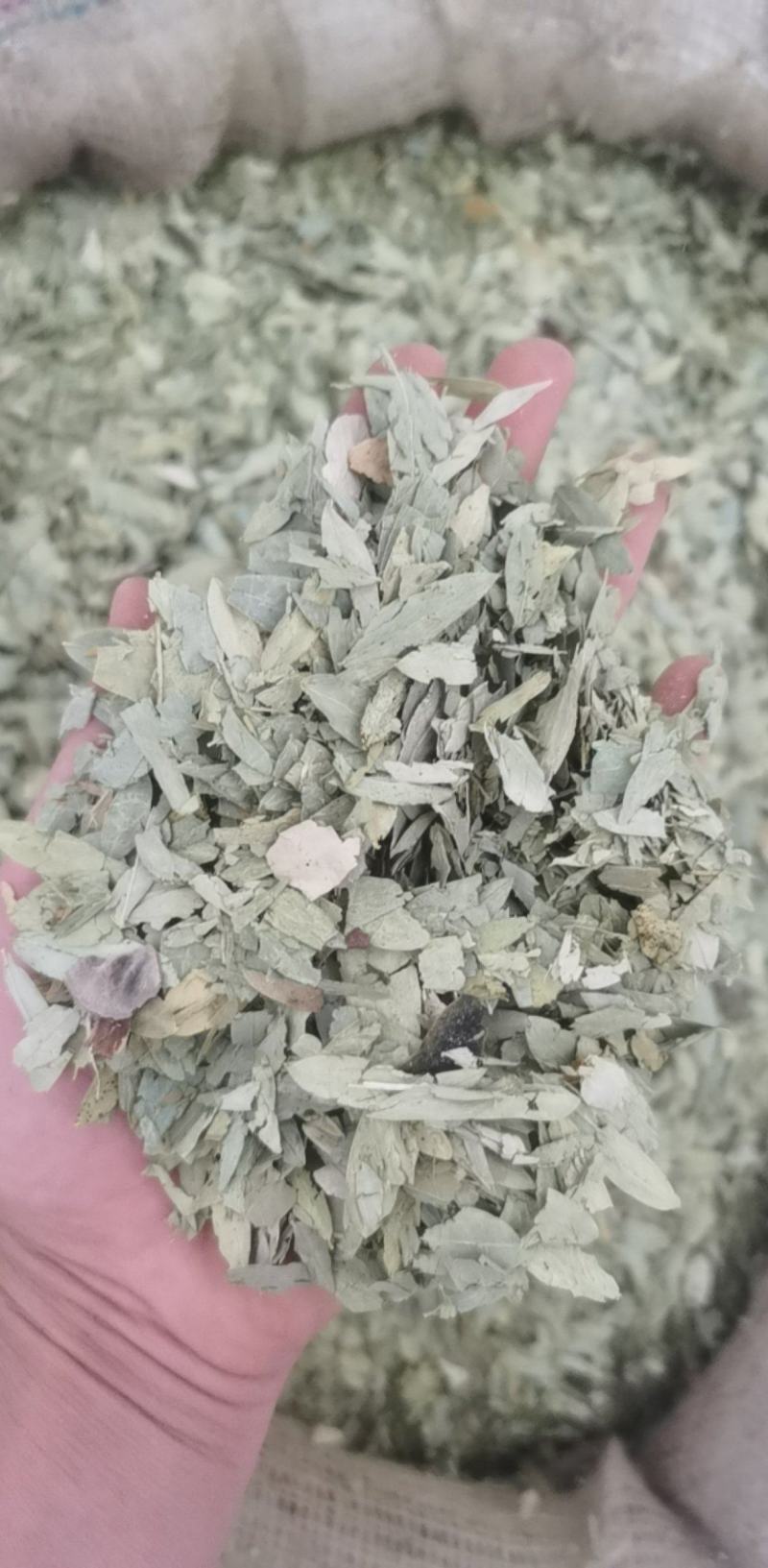 番泻叶统装500g产地广东振兴药材购销站量大从优