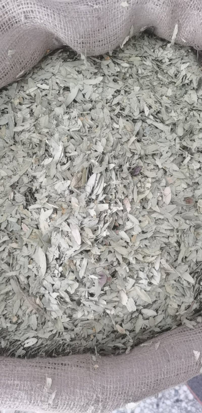 番泻叶统装500g产地广东振兴药材购销站量大从优