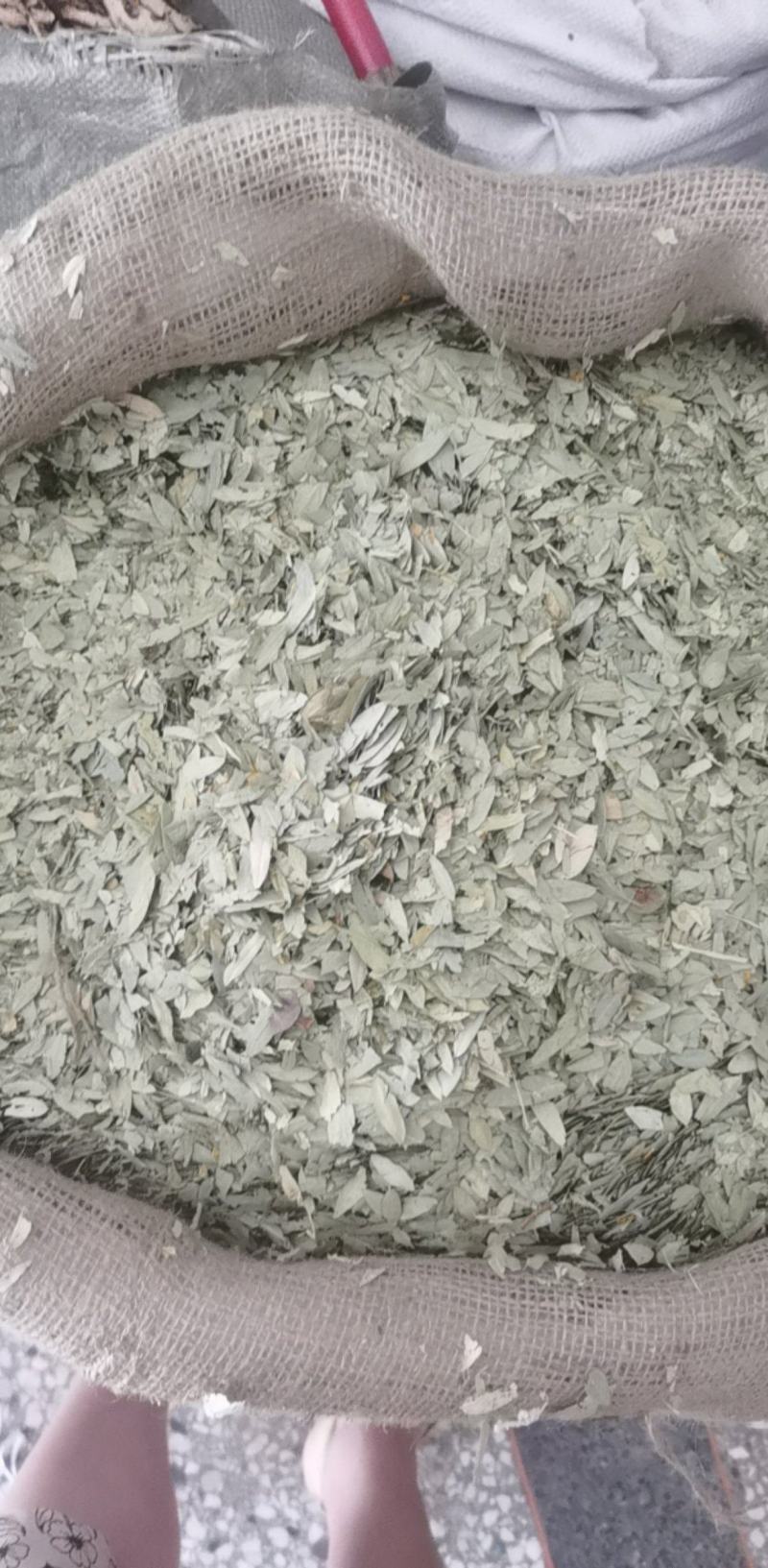 番泻叶统装500g产地广东振兴药材购销站量大从优