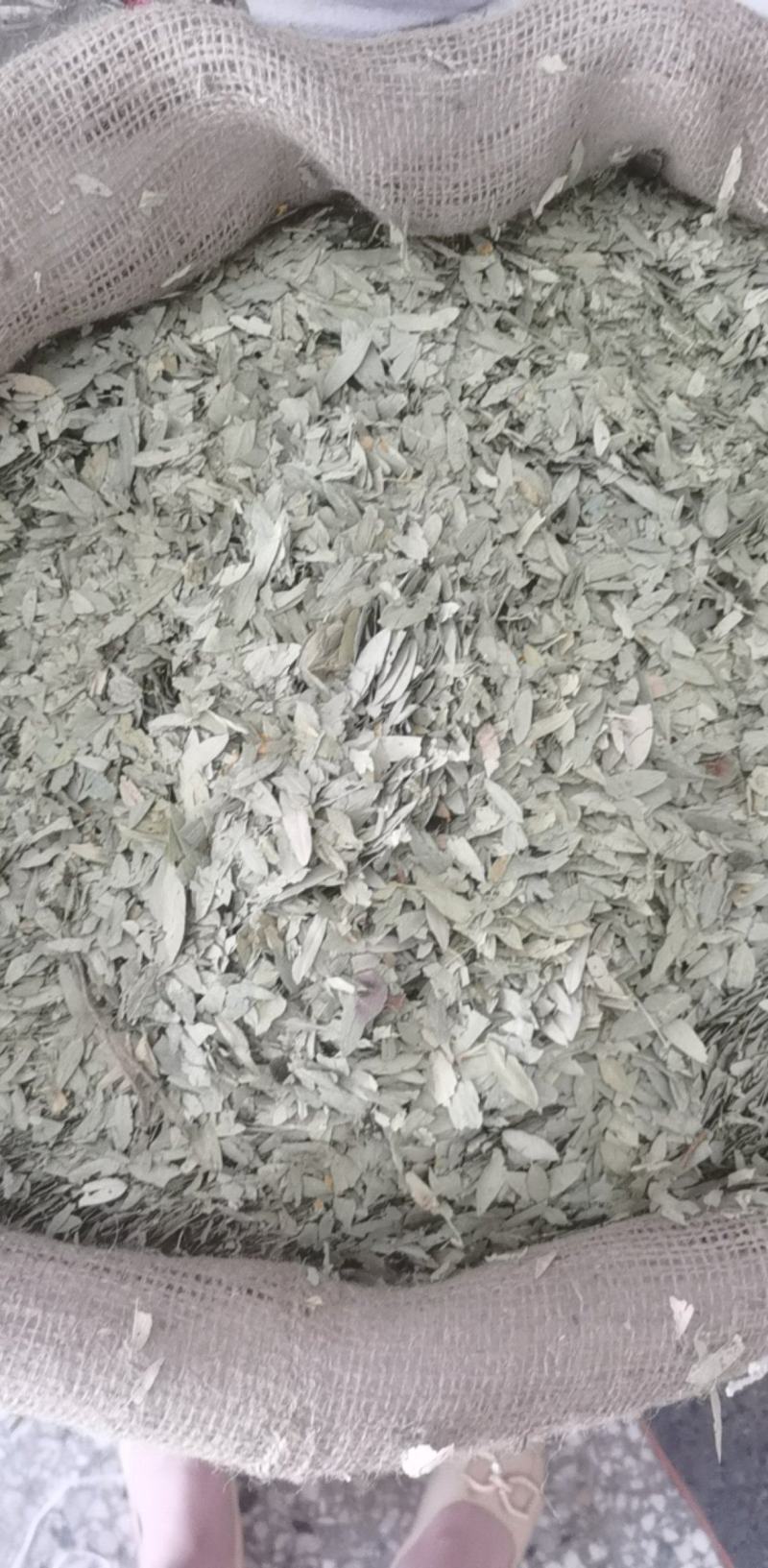 番泻叶统装500g产地广东振兴药材购销站量大从优