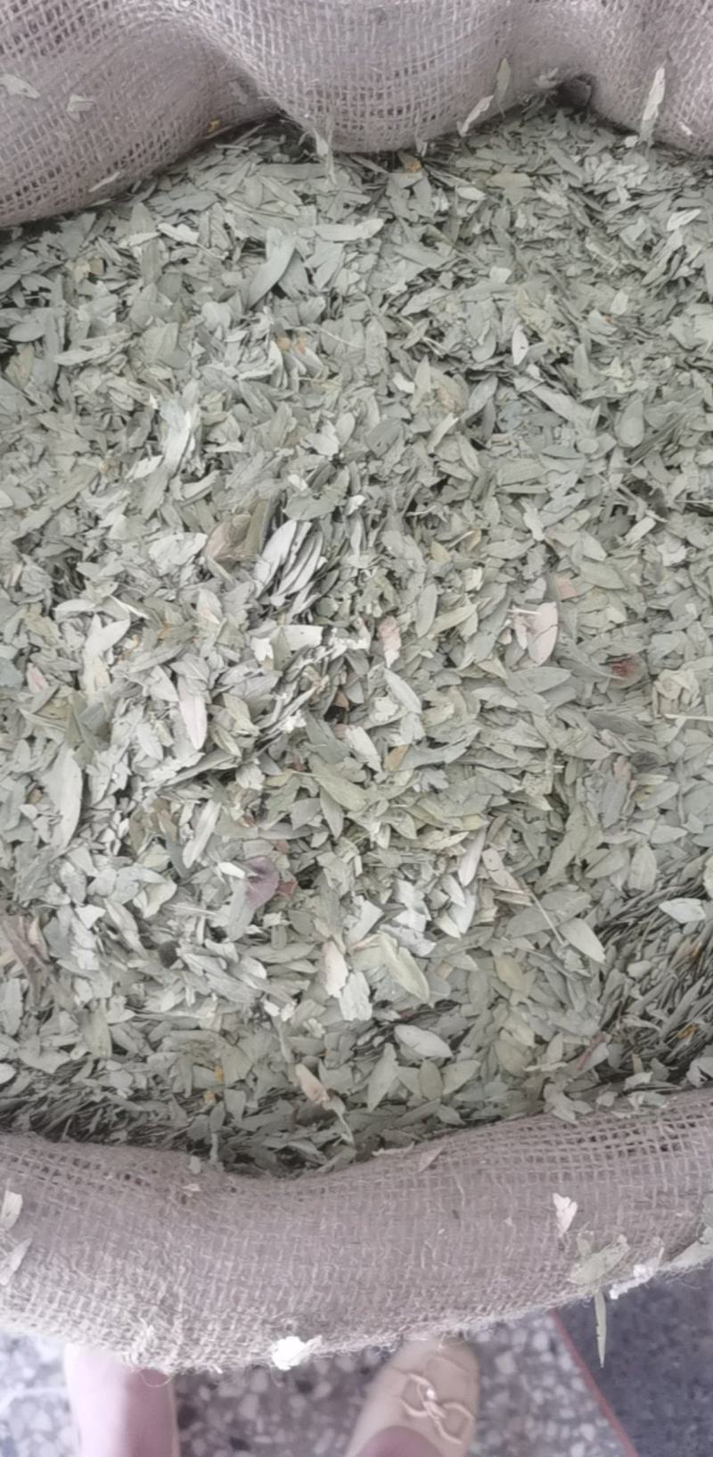 番泻叶统装500g产地广东振兴药材购销站量大从优