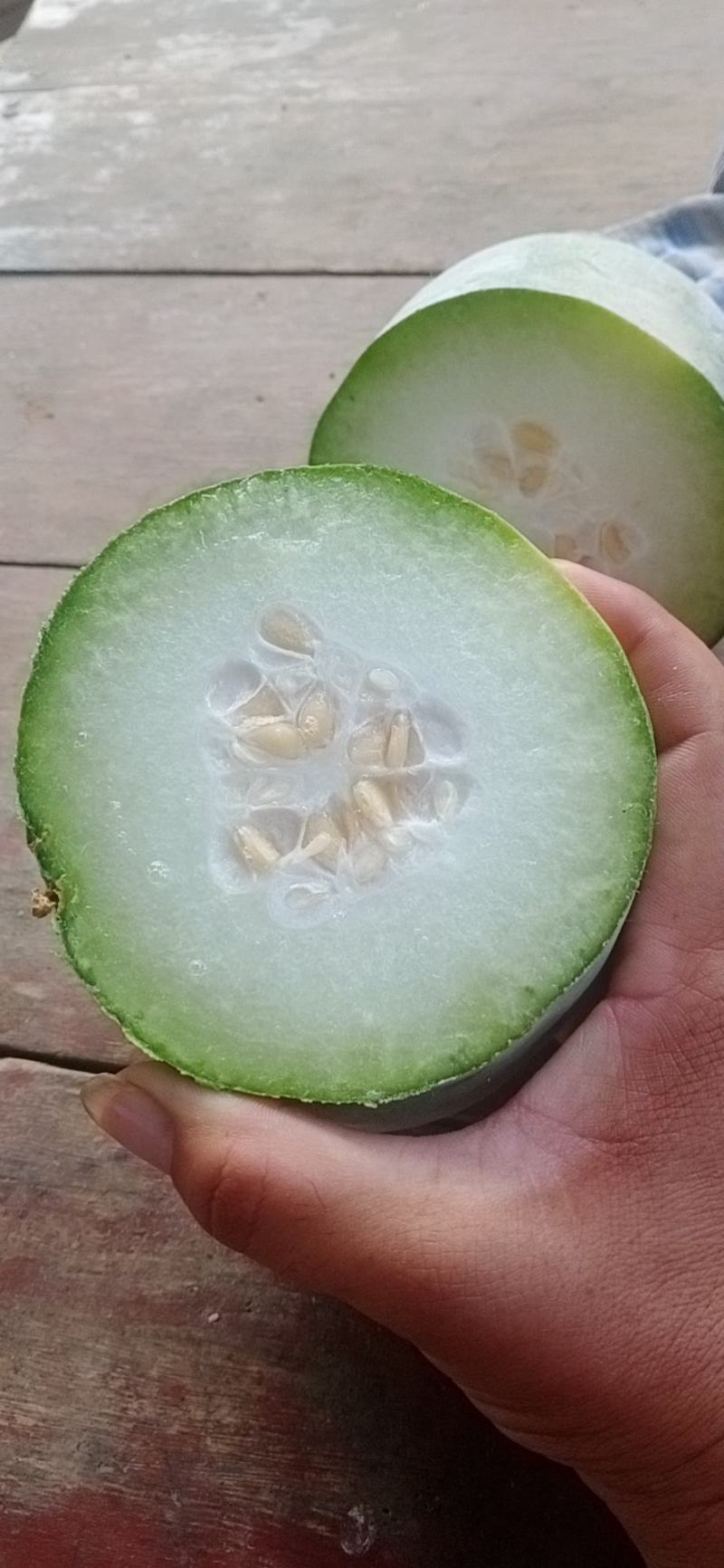 水果冬瓜，一手货源，产地直供，可视频看货，，，，，，