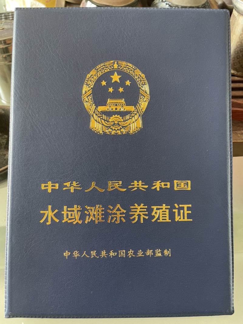 加州鲈鱼苗鲈鱼水花鲈鱼苗鱼苗批发周边可送货