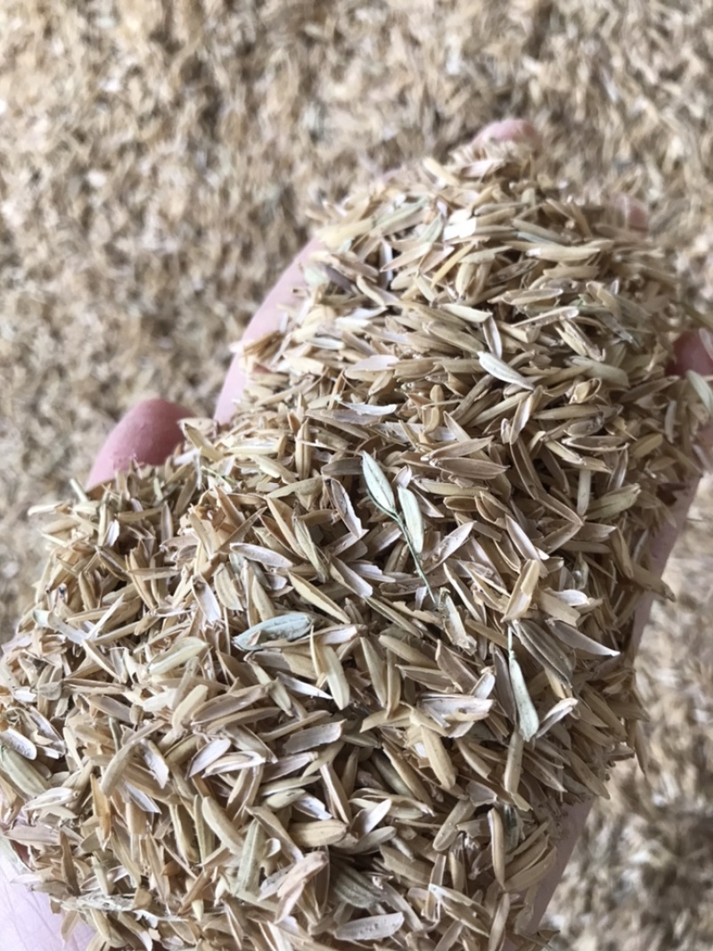 基地直供压缩打包谷壳稻壳常年供应可开票