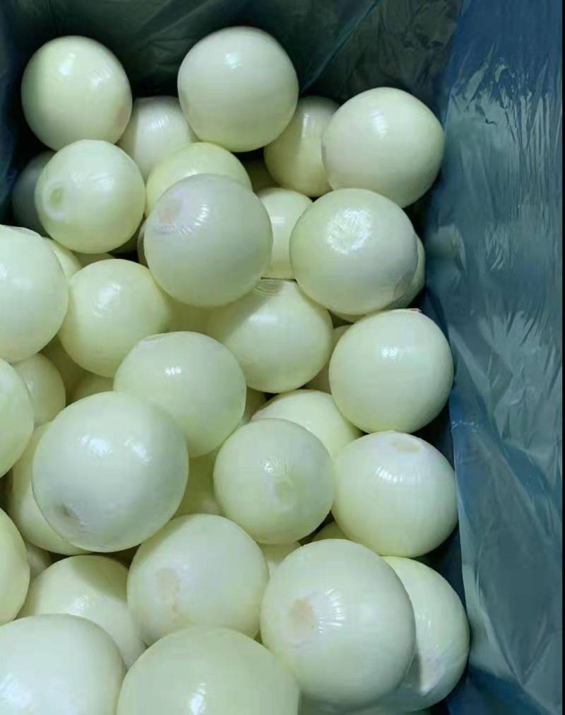 洋葱土豆红薯西瓜其他蔬菜水销售出口帮到全国商家