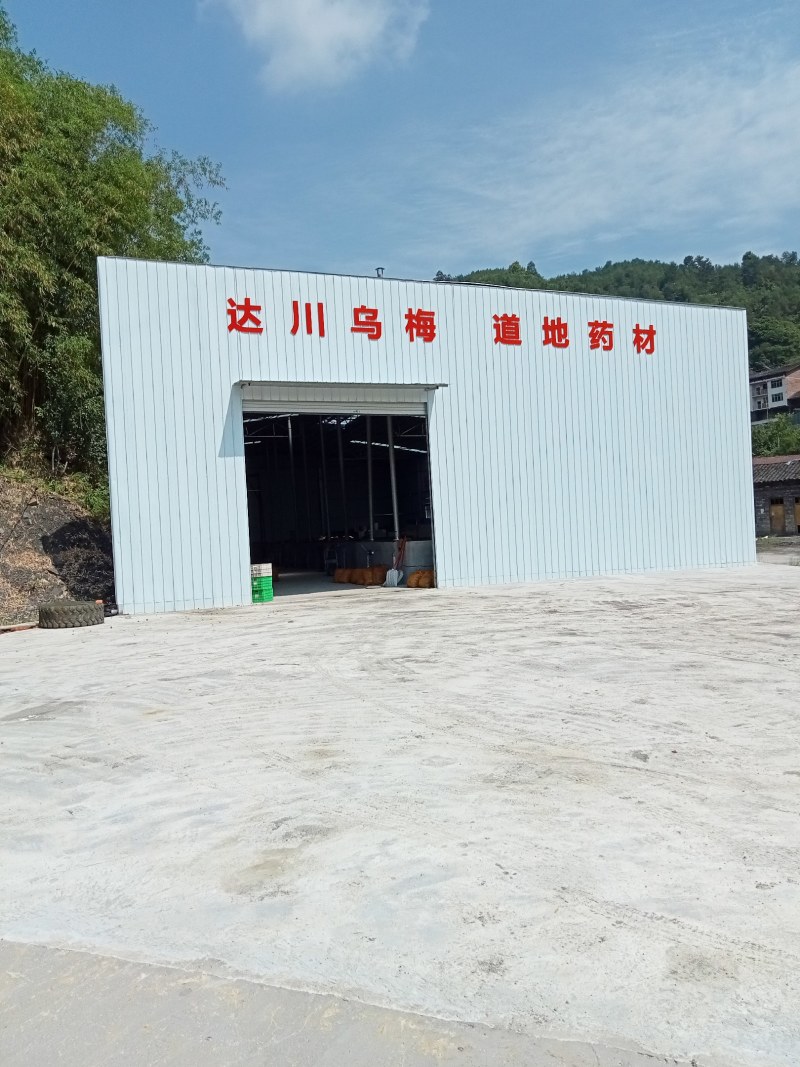 精品四川乌梅干产地直供品质保证量大从优欢迎来电