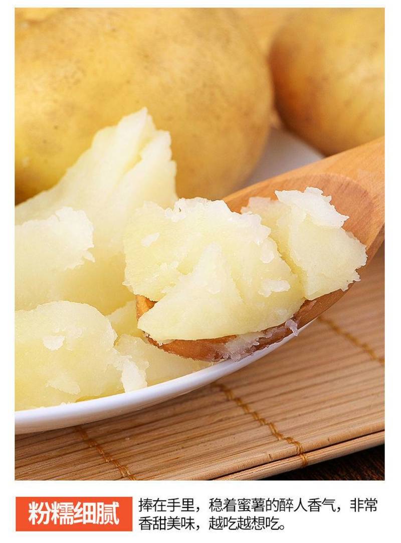 土豆现挖新鲜黄心土豆大个超大号当季蔬菜马铃薯沙面洋芋土豆