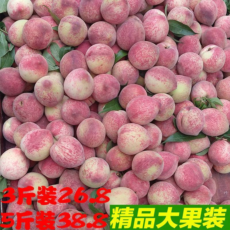 洋l现摘新鲜白花桃接桃脆桃甜桃脱核桃现发泡沫