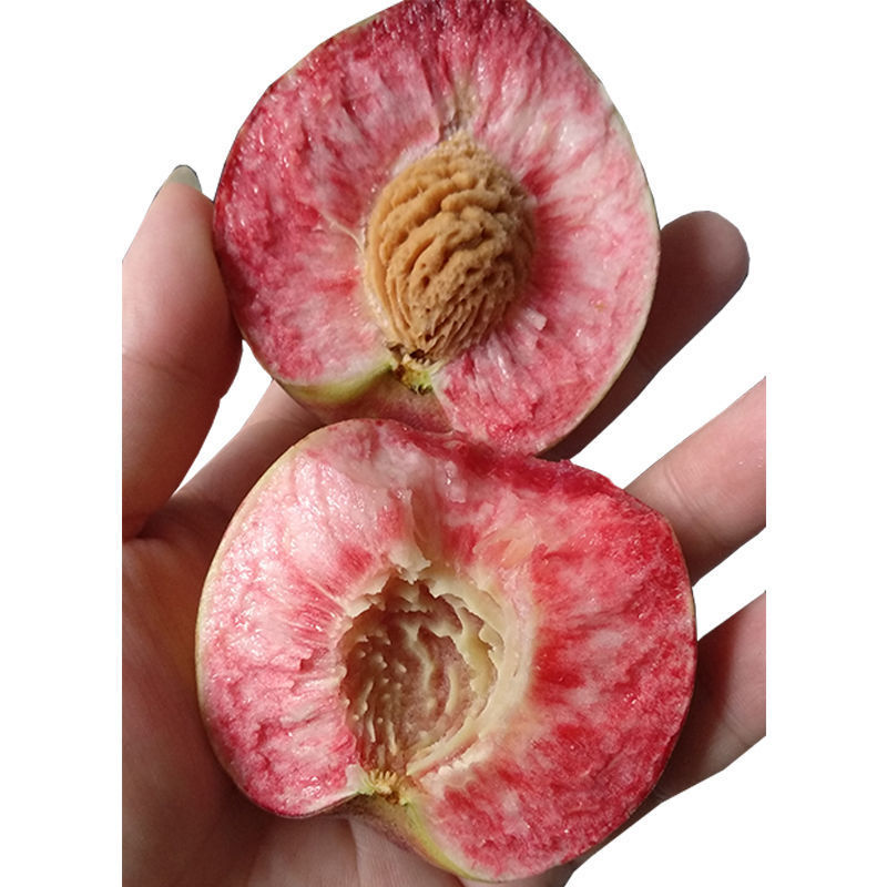 洋l现摘新鲜白花桃接桃脆桃甜桃脱核桃现发泡沫
