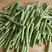 陕西汉中长豆角豇豆嫩豆角菜缸豆产地农家现摘现发新鲜蔬菜