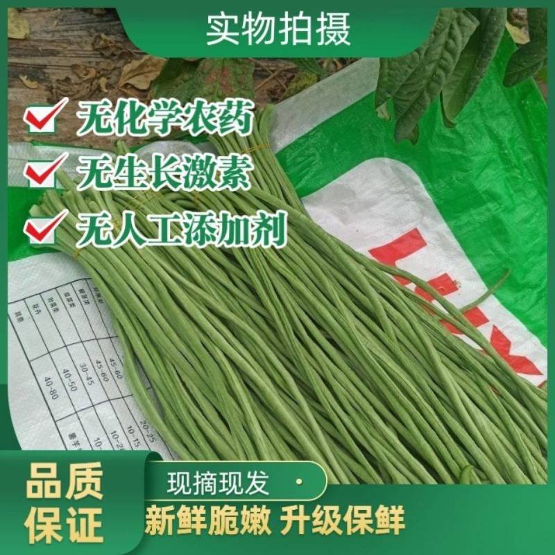陕西汉中长豆角豇豆嫩豆角菜缸豆产地农家现摘现发新鲜蔬菜