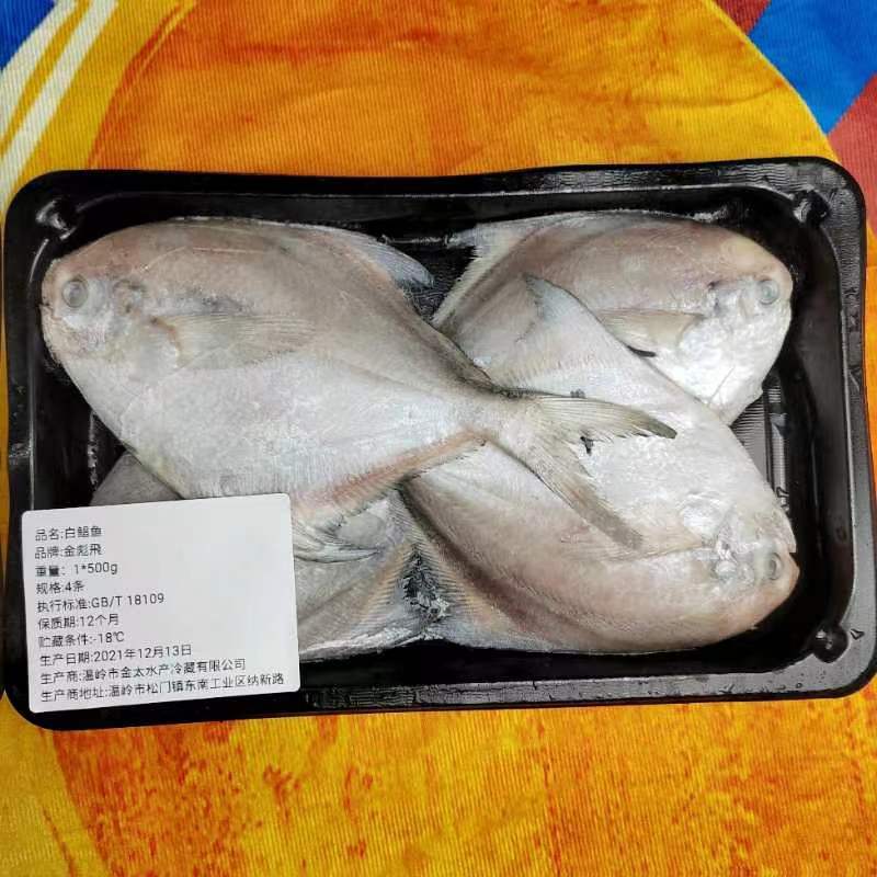 浙江东海白鲳鱼银鲳一手货源实力厂家对接大型批发商