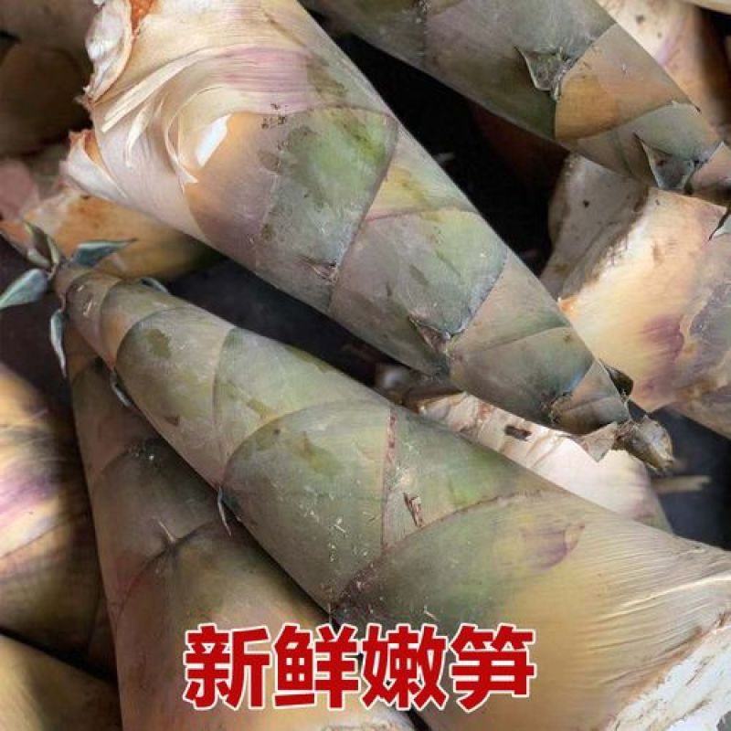 季节快到了欢迎大家订购