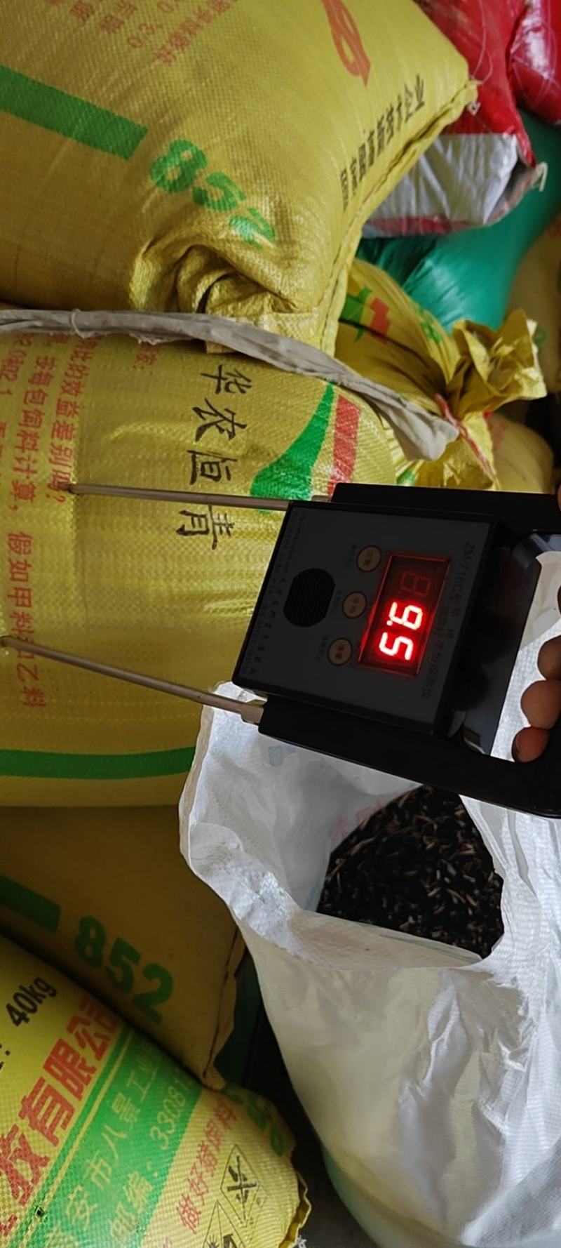 新鲜油菜籽，有十几万斤，量大从优，需要联系我