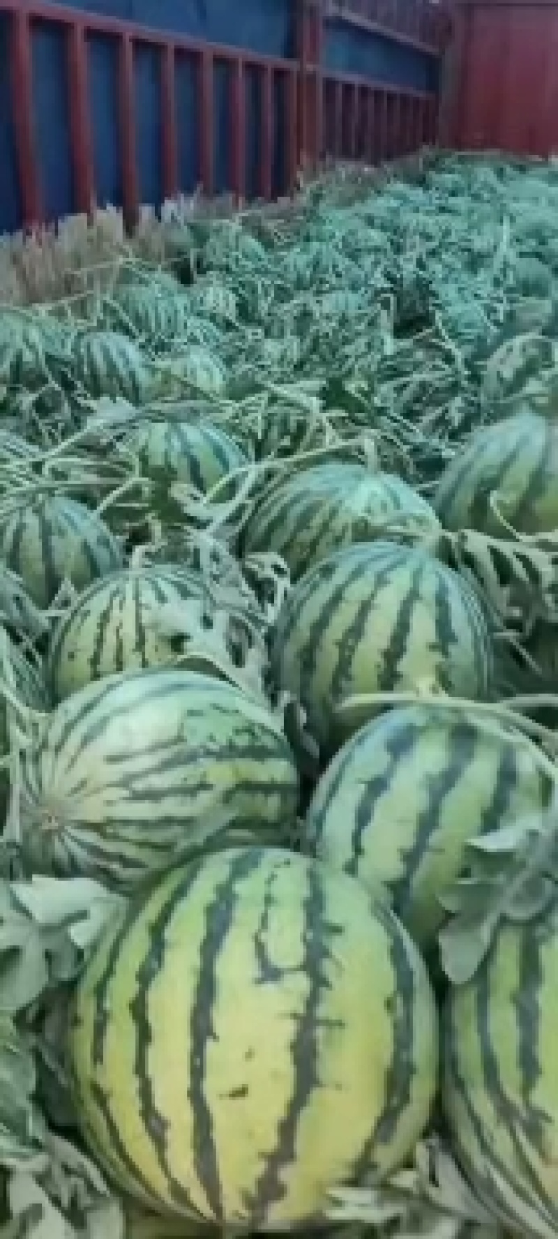 做生意，不拼价格，因为拼着拼着，质量就没了。做生意，只走