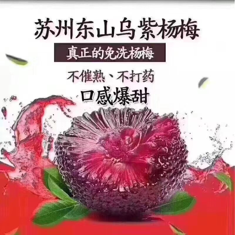 东山乌紫杨梅