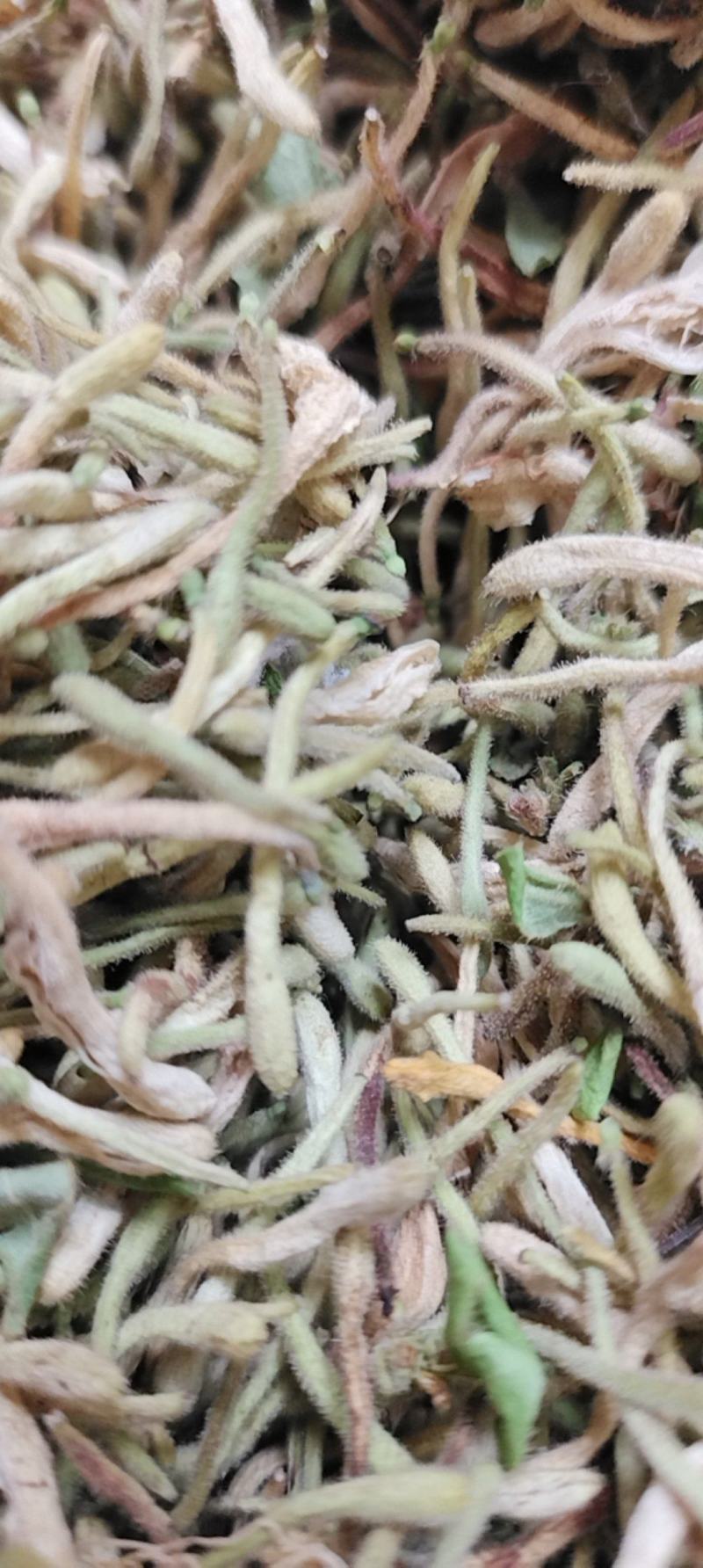 金银花花蕾统货干货
