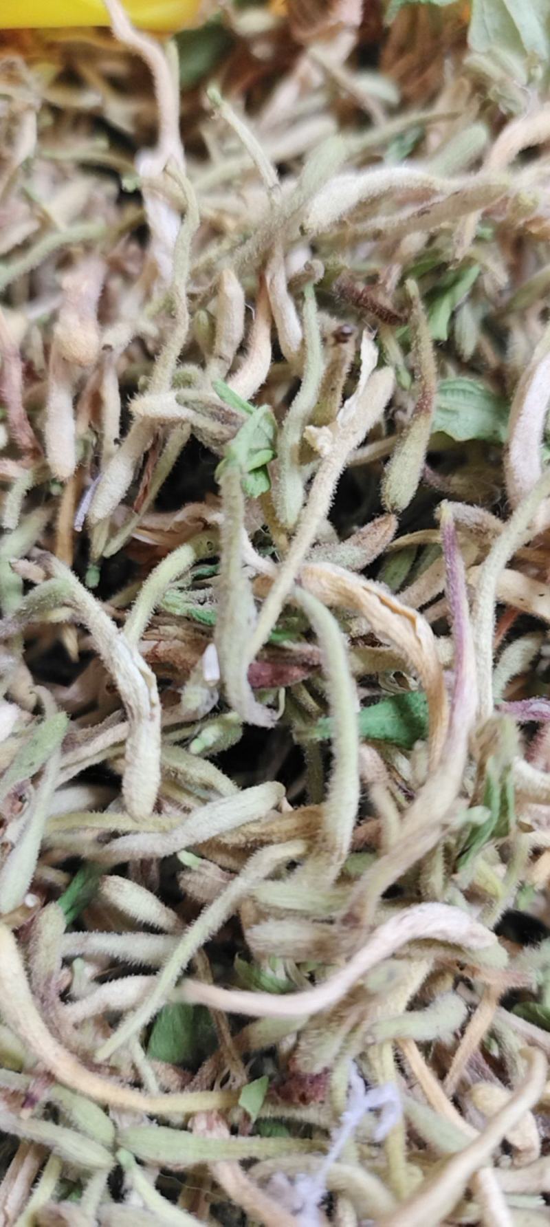 金银花花蕾统货干货
