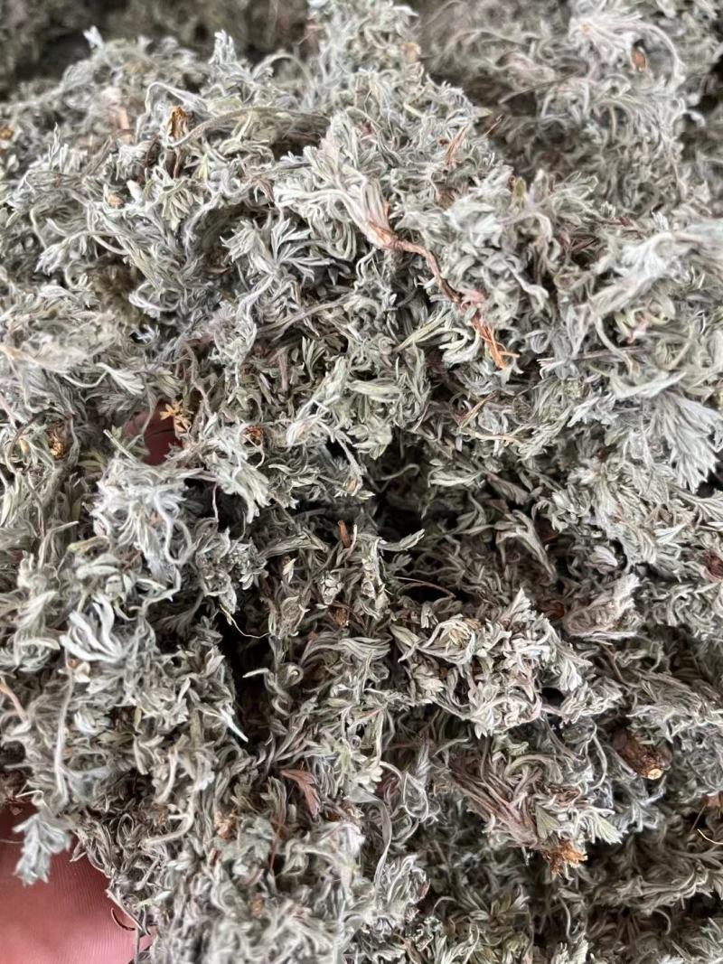 棉茵陈～新货~量大优惠～1公斤起售～诚信合作~
