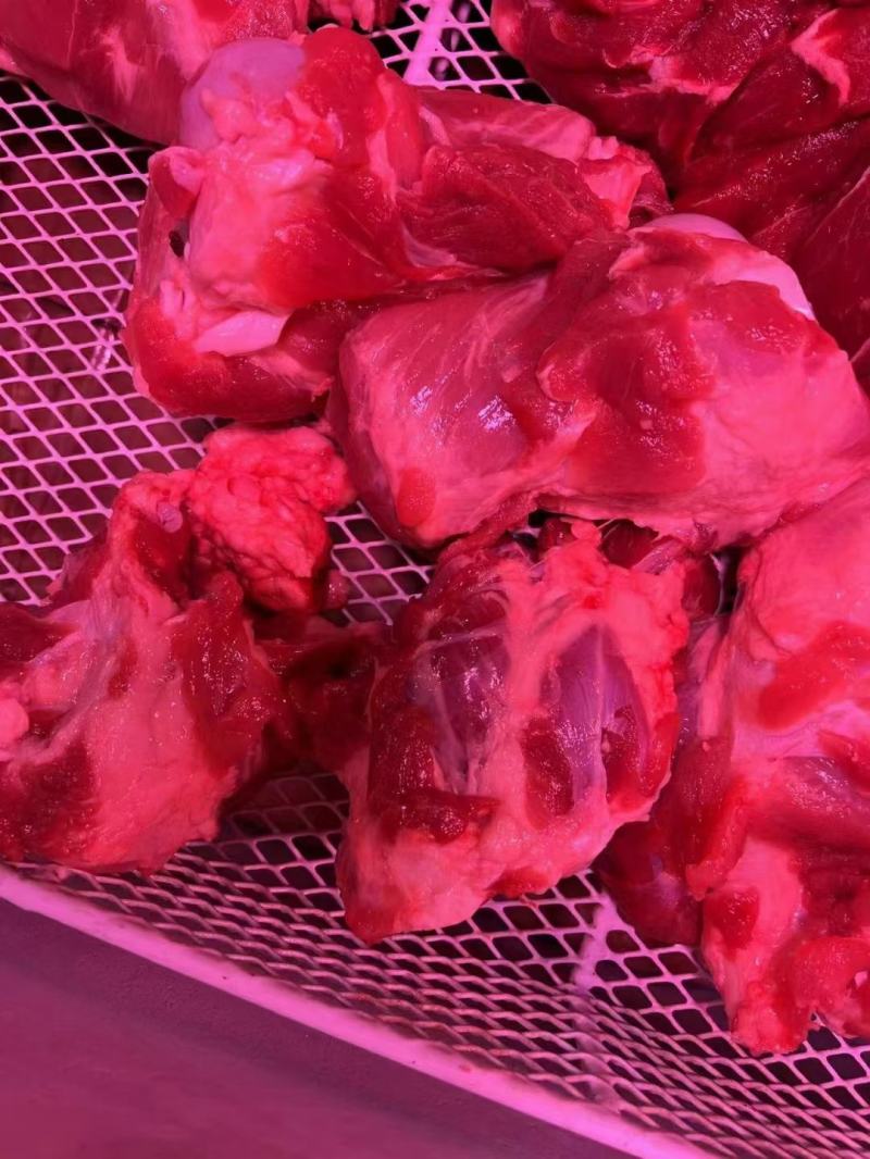 骨棒，前骨棒，后骨棒，大骨棒。多肉，肉骨棒