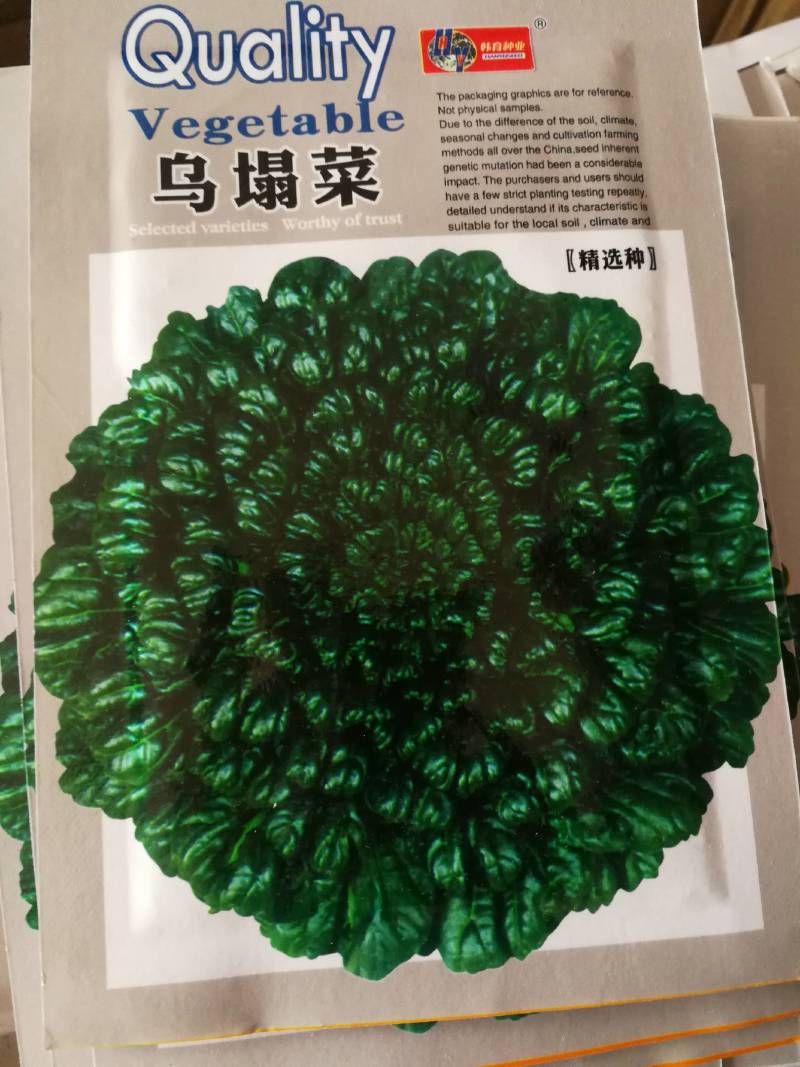 乌塌菜种子高钙保健蔬菜养心菜黑白菜种子四季播种农家易种黑