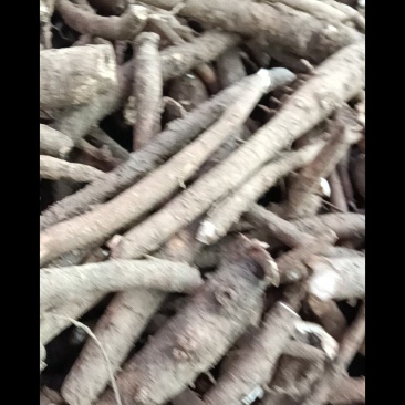 白芍大量收购白芍，赤芍，之母，丹参，白术，