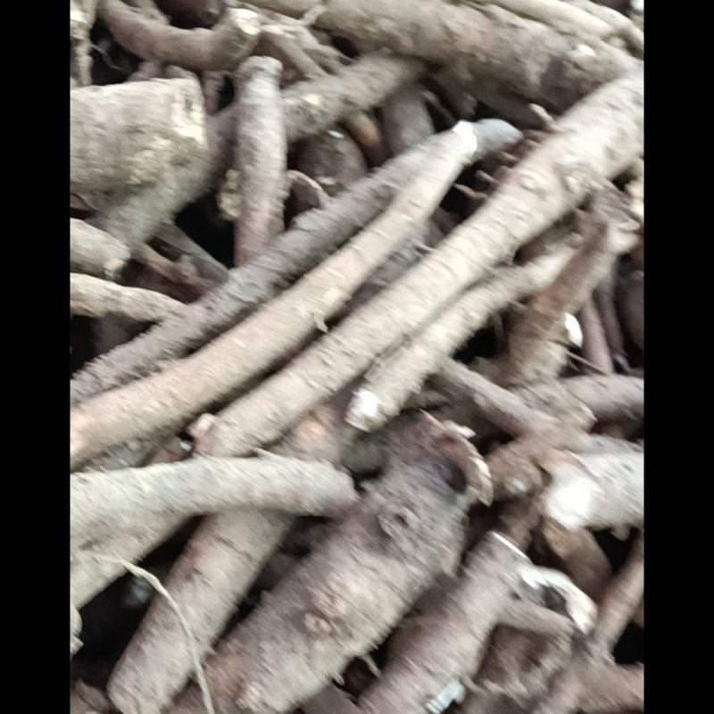 白芍大量收购白芍，赤芍，之母，丹参，白术，