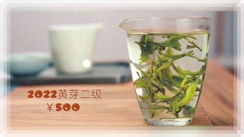 老板，经理采购最多单品，黄芽二级500一斤2022新茶