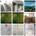 老板，经理采购最多单品，黄芽二级500一斤2022新茶